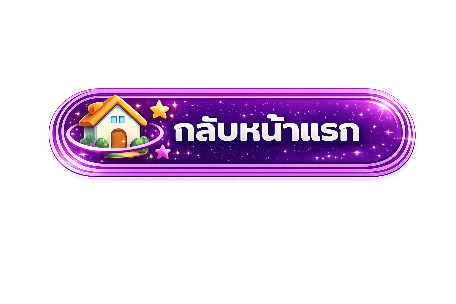 กลับหน้าแรก